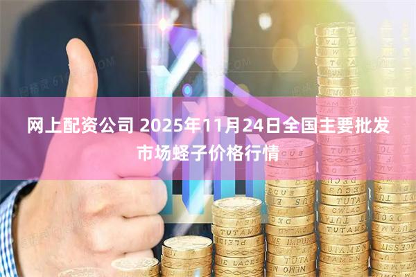 网上配资公司 2025年11月24日全国主要批发市场蛏子价格行情